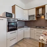 Apartment Carolina *